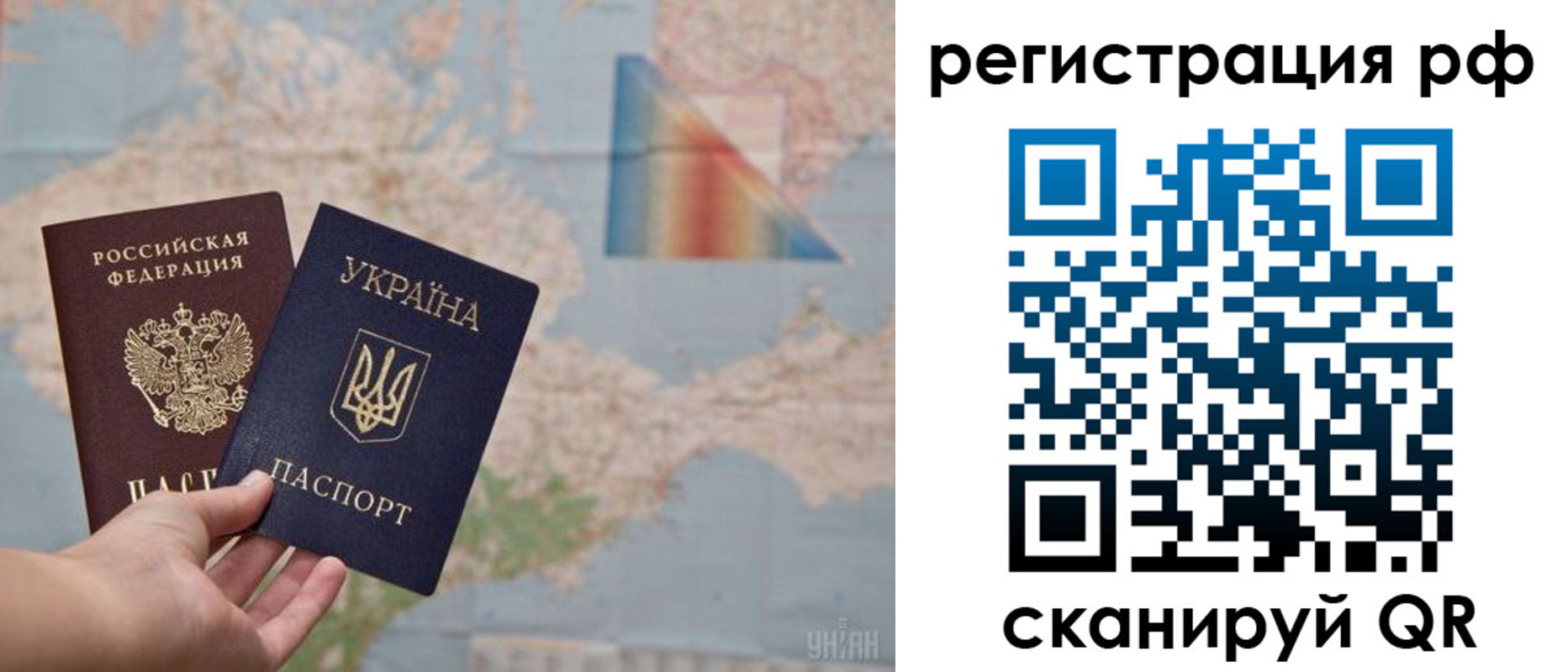 прописка поиск в Тольятти